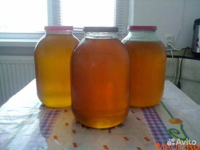 Мёд из разнотравья купить на Зозу.ру - фотография № 1