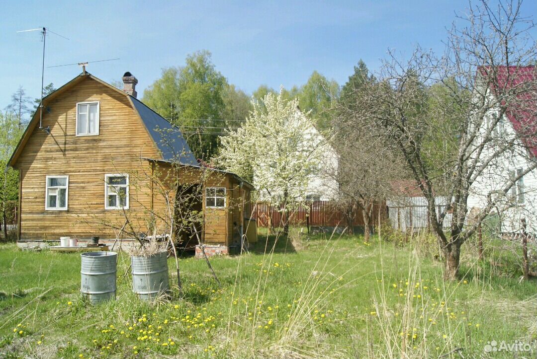 Погода снт лазурное. Деревня Золотово. СНТ Лазурное.