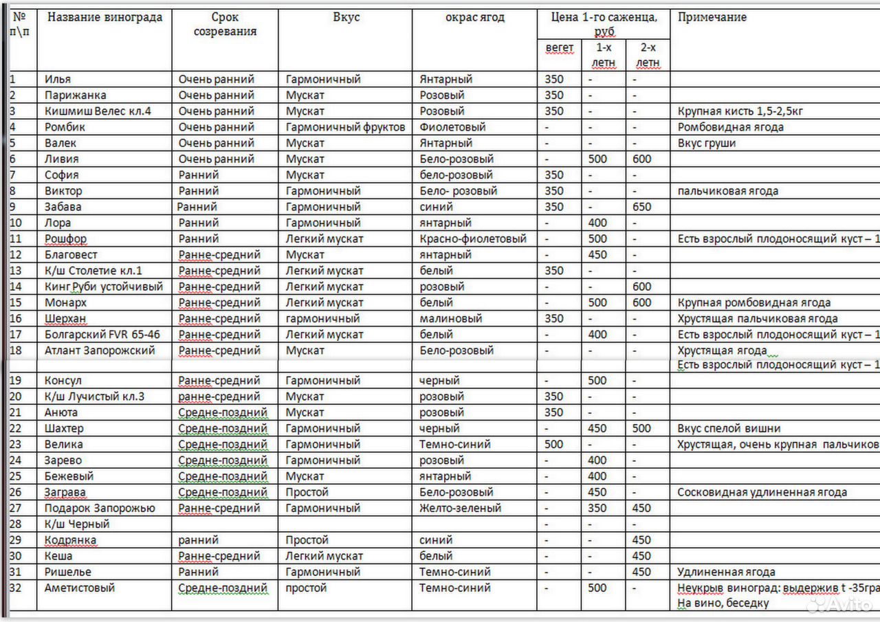 Прайс лист саженцев. Прайс лист винограда. Прайс лист саженцев винограда. Прайс лист на саженцы винограда. Каталог саженцев винограда Мансурова Сергея.