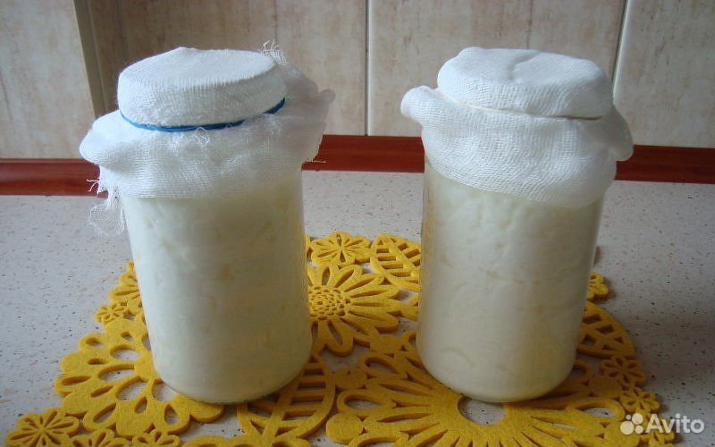 Тибетский молочный гриб купить на Зозу.ру - фотография № 2
