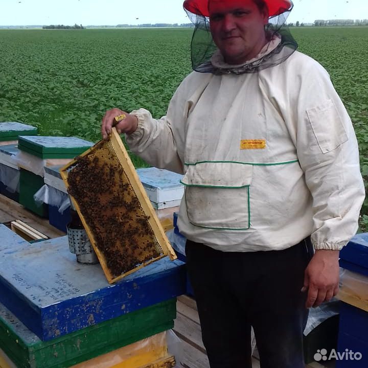 Мед разнотравье урожай 2020 купить на Зозу.ру - фотография № 1