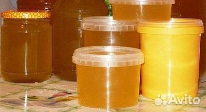 Пчелосемьи,пчелопакеты,мёд купить на Зозу.ру - фотография № 1