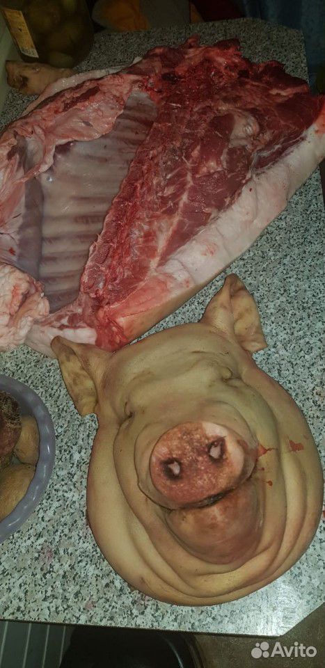 Домашнее мясо свиньи купить на Зозу.ру - фотография № 1