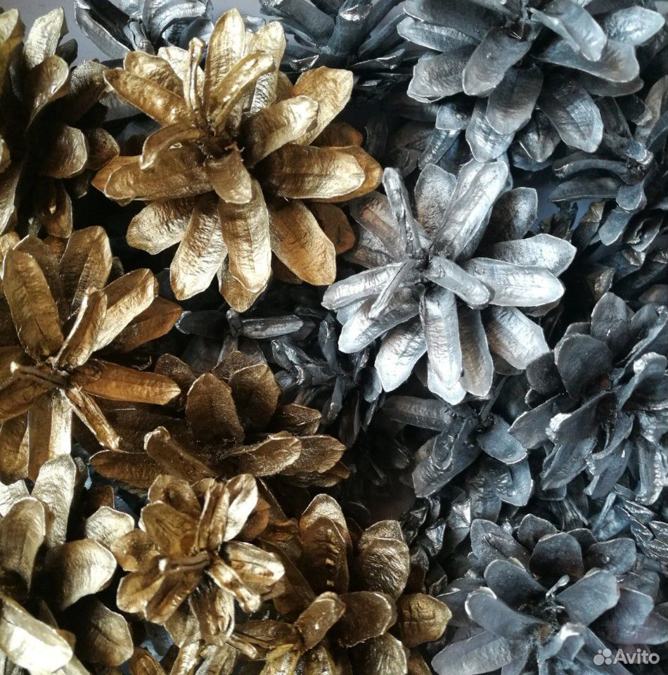 Шишки гималайского кедра, шишки сосновые купить на Зозу.ру - фотография № 2