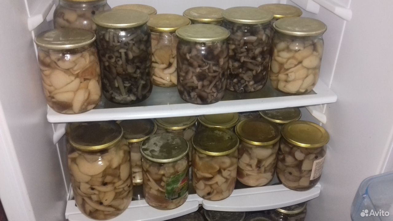 Продам грибы белые сухие купить на Зозу.ру - фотография № 8