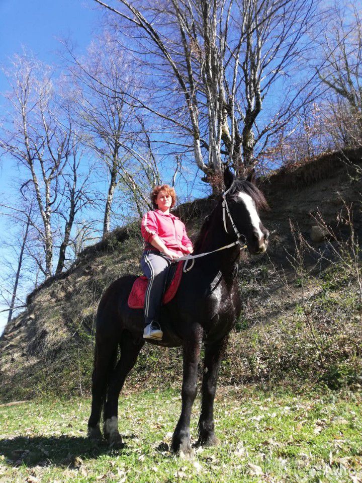 Отличный конь купить на Зозу.ру - фотография № 2