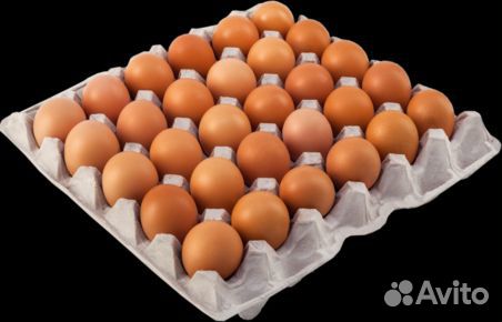 Яйцо отборное купить на Зозу.ру - фотография № 1