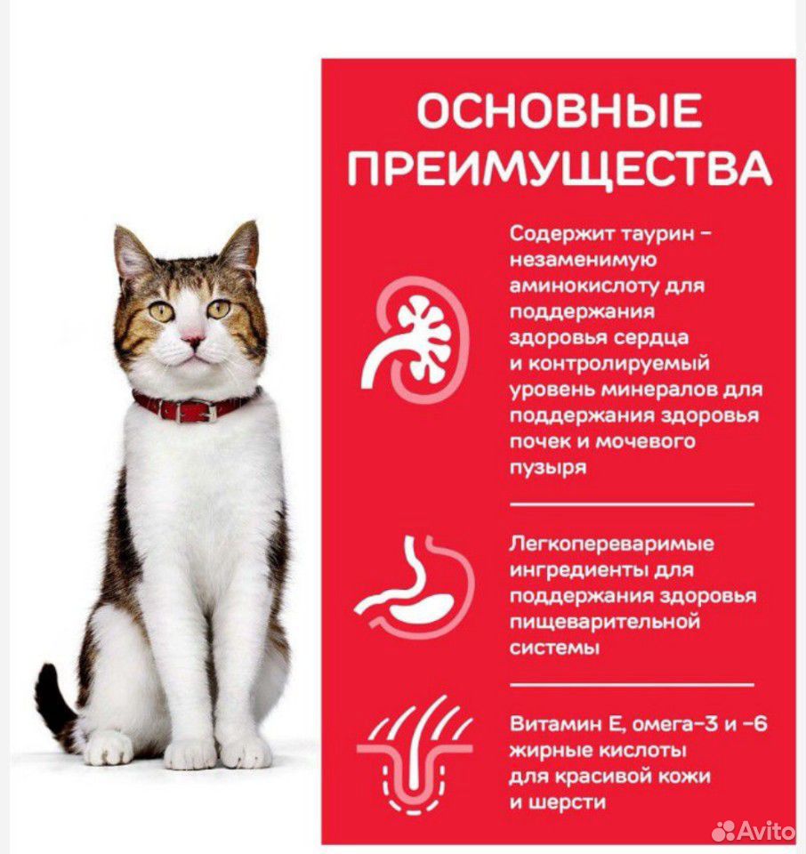 Сухой корм Hill’s Science Plan для кошек 7+, 1,5кг купить на Зозу.ру - фотография № 7