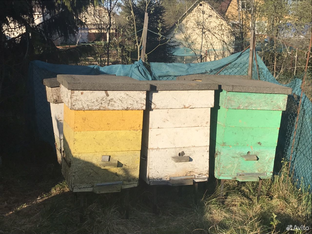 Улей пчелиный, дадан, с двумя магазинами купить на Зозу.ру - фотография № 10
