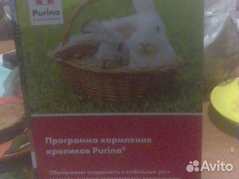 Цыплята бройлера купить на Зозу.ру - фотография № 2
