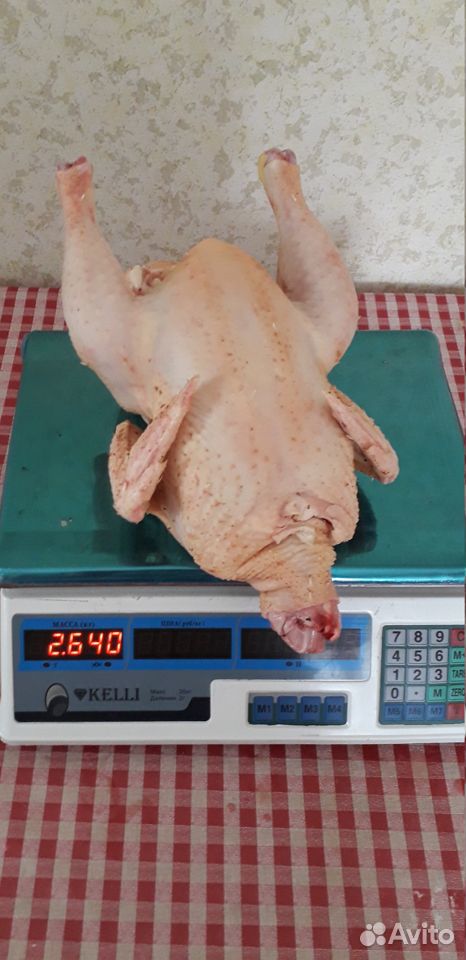Мясо домашних кур купить на Зозу.ру - фотография № 2