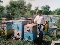Продажа пчёл и пчелопакетов