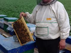 Мед разнотравье урожай 2020