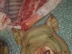 Домашнее мясо свиньи