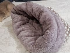 Спальный мешок для кошки или маленькой собаки
