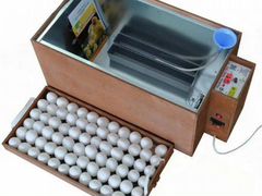 Инкубационное яйцо кобб-500