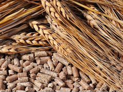 Сладкие пшеничные корма оптом
