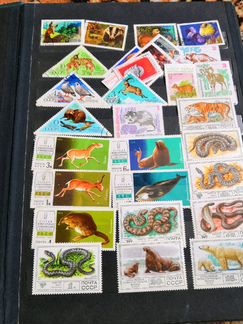 Коллекция почтовых марок, альбом из 10 страниц пол