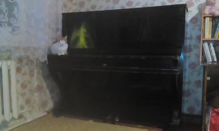Пианино offenbacher