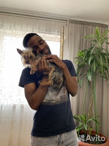 Репетитор по английскому языку (носитель)