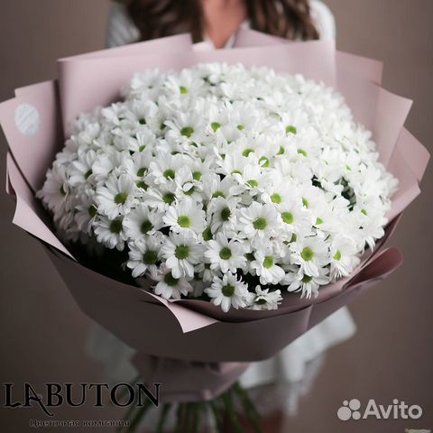 Хризантемы Букет Хризантем Цветы в Красноярске