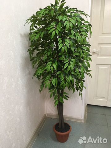 Искусственное дерево драцена