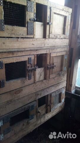 Клетки (использовались для кроликов)