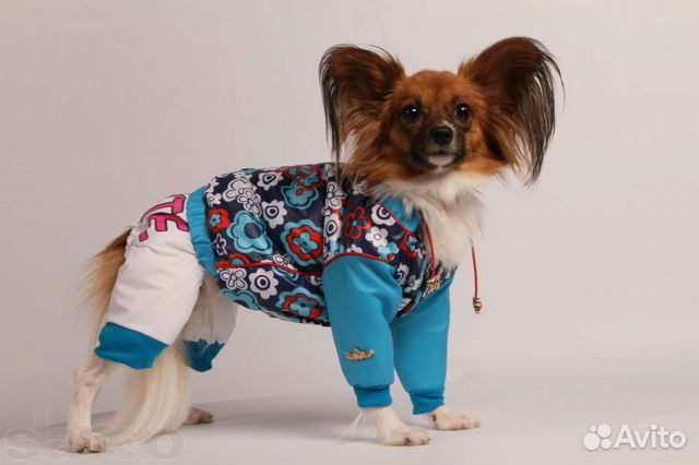 Зимняя одежда для собак купить на Зозу.ру - фотография № 7