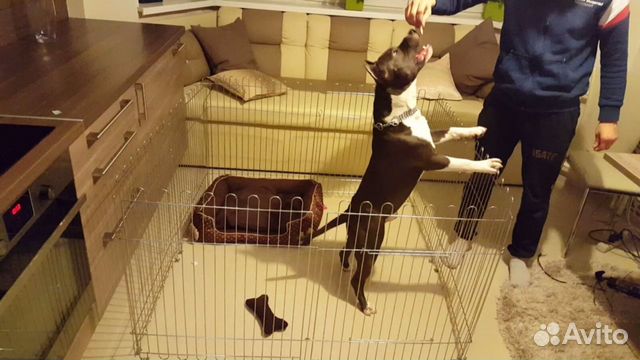 Вольер для собак, клетка Новые