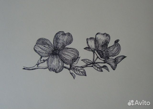 Продам рисунки (цветы, графика)