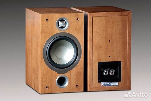 tannoy mercury v1i