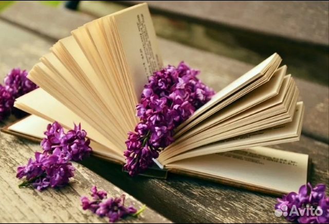 Много книг современная литература