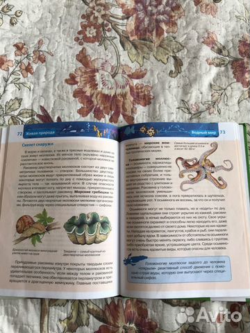 Книга Книга