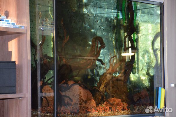Добротный аквариум на 200л. с внешним фильтром купить на Зозу.ру - фотография № 2