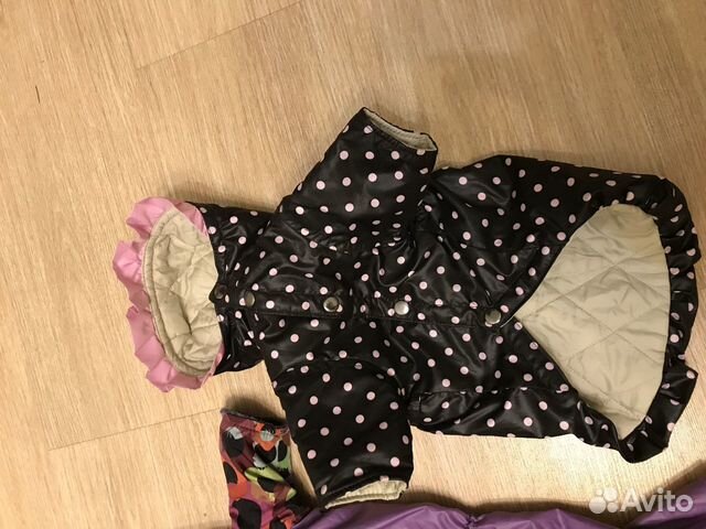 Вещи для собаки той терьер