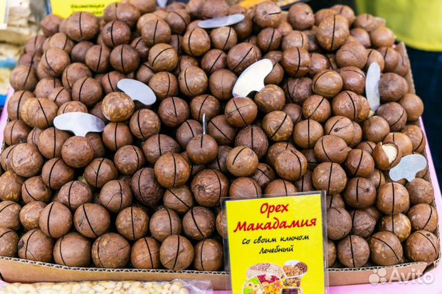 Самый дорогой орех в мире макадамия фото