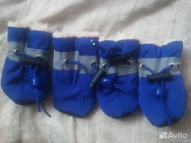 Зимняя обувь для маленькой породы собак купить на Зозу.ру - фотография № 1