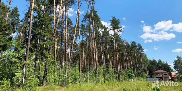 Участок Купить Московская Область Носовихинское Шоссе