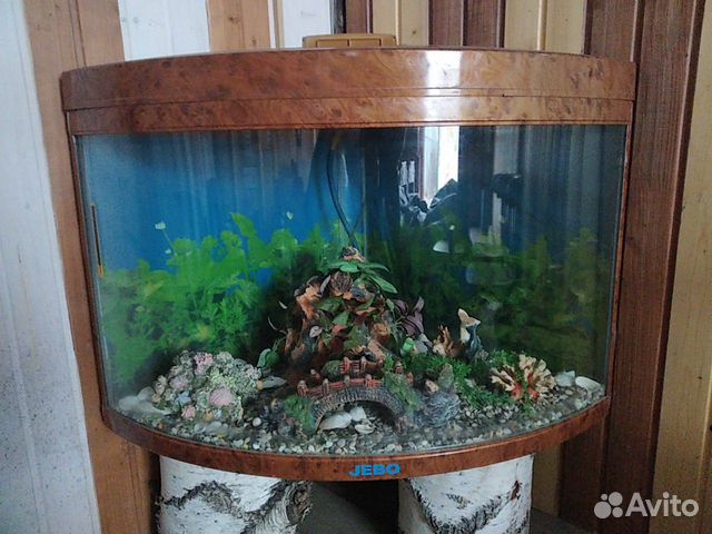 Украшение для аквариума купить на Зозу.ру - фотография № 1