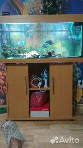 Распродаю аквариум Juwel Rio 180 купить на Зозу.ру - фотография № 2