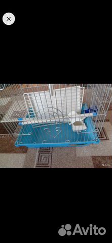 Клетка для попугая с книжкой купить на Зозу.ру - фотография № 2