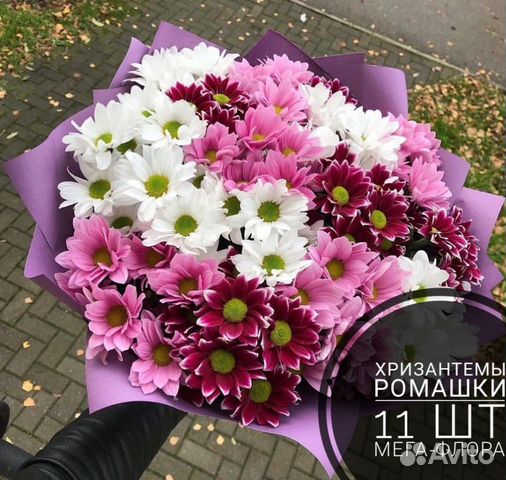 Хризантемы цветные. Подарок. Доставка цветов