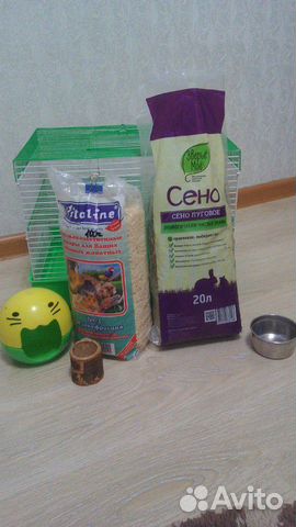 Клетка для маленьких грызунов + кормушка, сено и т купить на Зозу.ру - фотография № 1