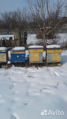 Ульи рамки.Пчеломатериалы купить на Зозу.ру - фотография № 5