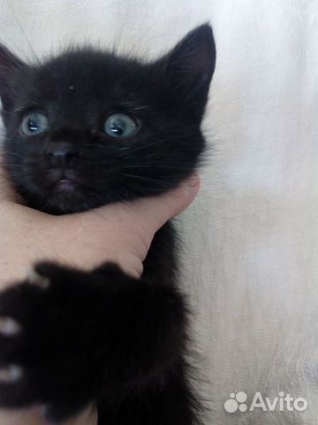 Black boy