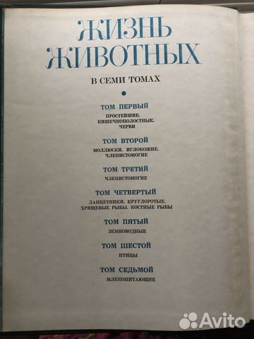 Энциклопедия 