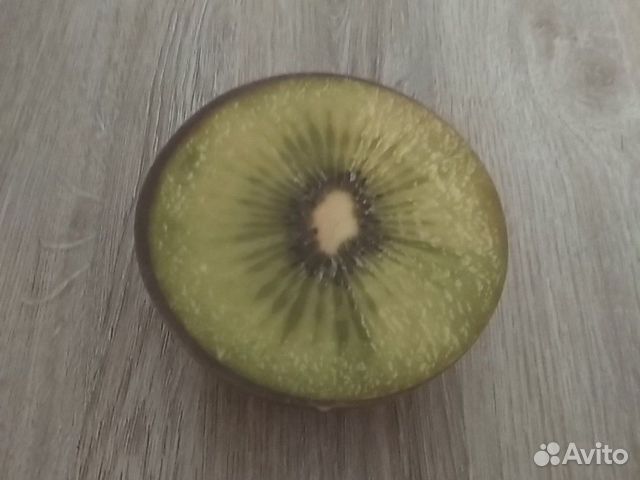 Сквиш в виде киви