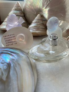 Tan Giudicelli Annam