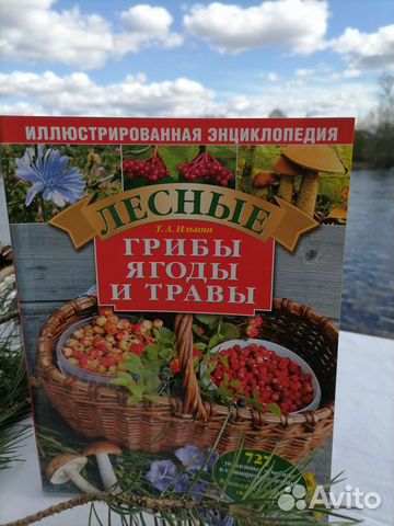 Книга. Лечебные рецепты