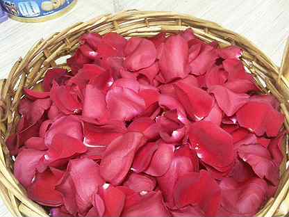 лепестки роз красные искусственные. красно белые лепестки. разноцветные лепестки роз. белое и розовое лепестки. лепестки роз красные искусственные.